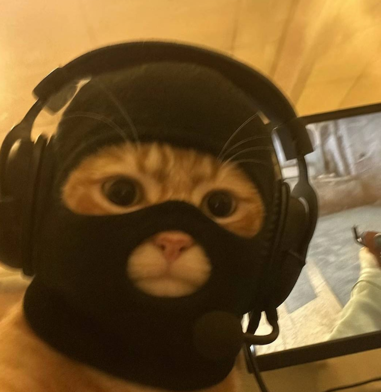 Kediler: Gizemli ve Sevimli Ev Arkadaşları